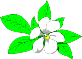 Image result for free clip art flower