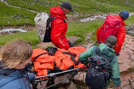 From Ben Nevis Bliss to Emergency Vet: The Shocking Truth About Discarded Cannabis on UK Trails – A Tokyo Labrador Lochaber Rescue Story