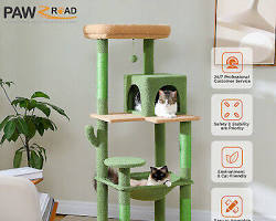 catfriendly room with a cat tree, scratching post, and bedの画像