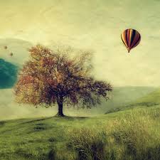 R&eacute;sultat de recherche d'images pour 