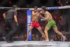 Esteban Ribovics and the 3 numbers shaping UFC 327 odds