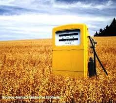 Image result for biofuels