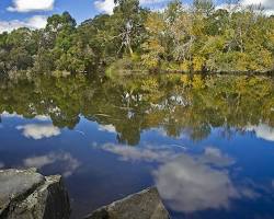 Image of Blackburn Lake Sanctuary