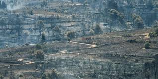 Le Monde.fr - News update