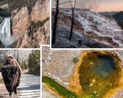 Park Narodowy Yellowstone, USA