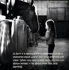 horse on Pinterest | Horse Quotes, Equestrian and Horses via Relatably.com