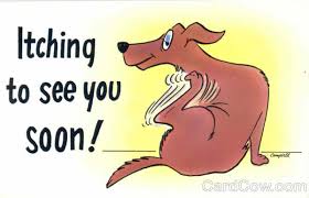 Image result for see you soon