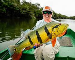 Image of Tucunaré fish