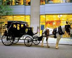 Image of Horsedrawn carriage