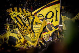 BVB - News update