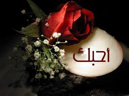 صور رومانسية  Images?q=tbn:ANd9GcRIBTKJ5FoLop11gwmAHo6n0-7EFaj7uRoEYRQJYTmeAH759HEvoA