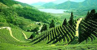 Image result for beautiful bangladesh bandarban bangla