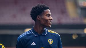 Leeds United - News update
