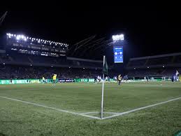 Allianz Parque cleared by FIFA after new synthetic pitch, Palmeiras set for home return