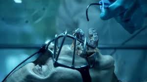 Kuvahaun tulos haulle the strain