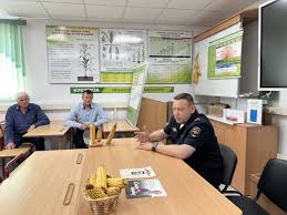 Газета 