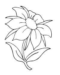 flower coloring pages - your favorite colring pages