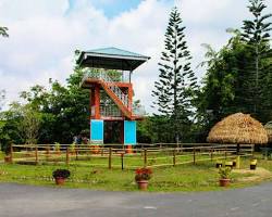 Image of Mount Harriet National Park Port Blair