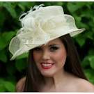 Hats fascinators - Women Debenhams