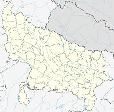 Picture of Bindki