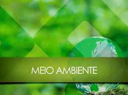 RESPEITO AO MEIO AMBIENTE