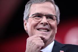 Image result for jeb bush