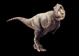 Resultado de imagem para tiranossauros