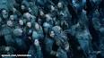‫ویدئو برای دانلود قسمت 1 فصل 8 game of thrones‬‎