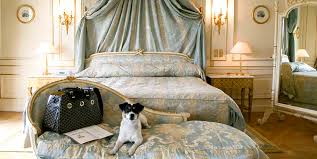 Πού μπορώ να μείνω με τον σκύλο μου στο Παρίσι;