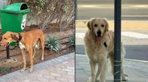 News source: La Provence