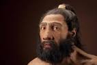 Homo neanderthalensis (Neanderthaler)