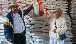 Avanza 80% entrega del Programa Fertilizantes para el Bienestar 2026 en el país