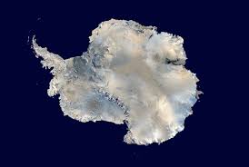 Image result for antarctica facts
