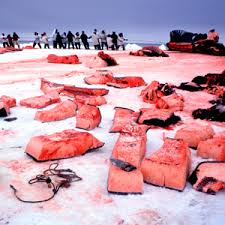 Image result for oil alaska
