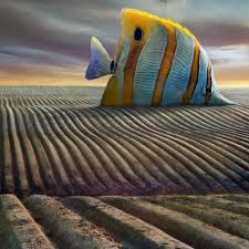 Resultat d'imatges de Dariusz Klimczak