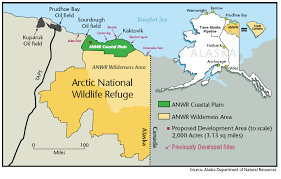 Image result for oil alaska