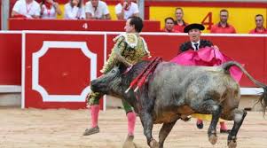 diariodenavarra.es - News update