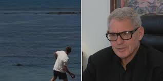 Defense attorney explains why rock was hurled at endangered monk seal