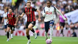 'Every Cherries player played close to their maximum potential'
