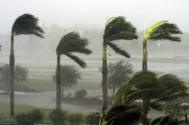 Image result for HURRICANES