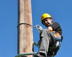 Image of Pole Climbers