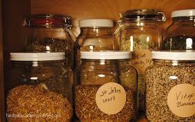 Image result for herbalist