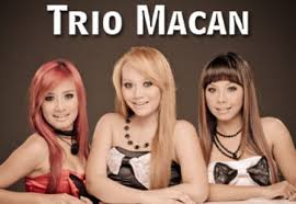 Hasil gambar untuk foto hot trio macan