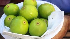 Résultat de recherche d'images pour "burying fig trees"