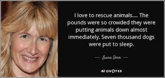 TOP 25 QUOTES BY LAURA DERN | A-Z Quotes via Relatably.com