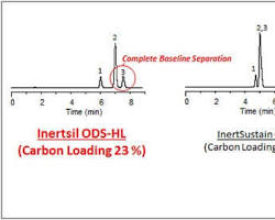 Image of High Carbon Load C18 Column