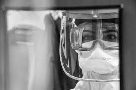 Vírus Nipah não chegou ao Brasil: ministério esclarece fake news