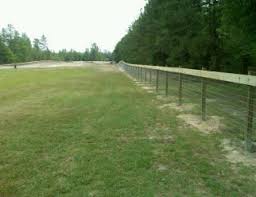 Image result for non climb fence