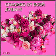 Картинки по запросу спасибо картинки для форумов