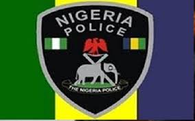 Image result for nigerian police training